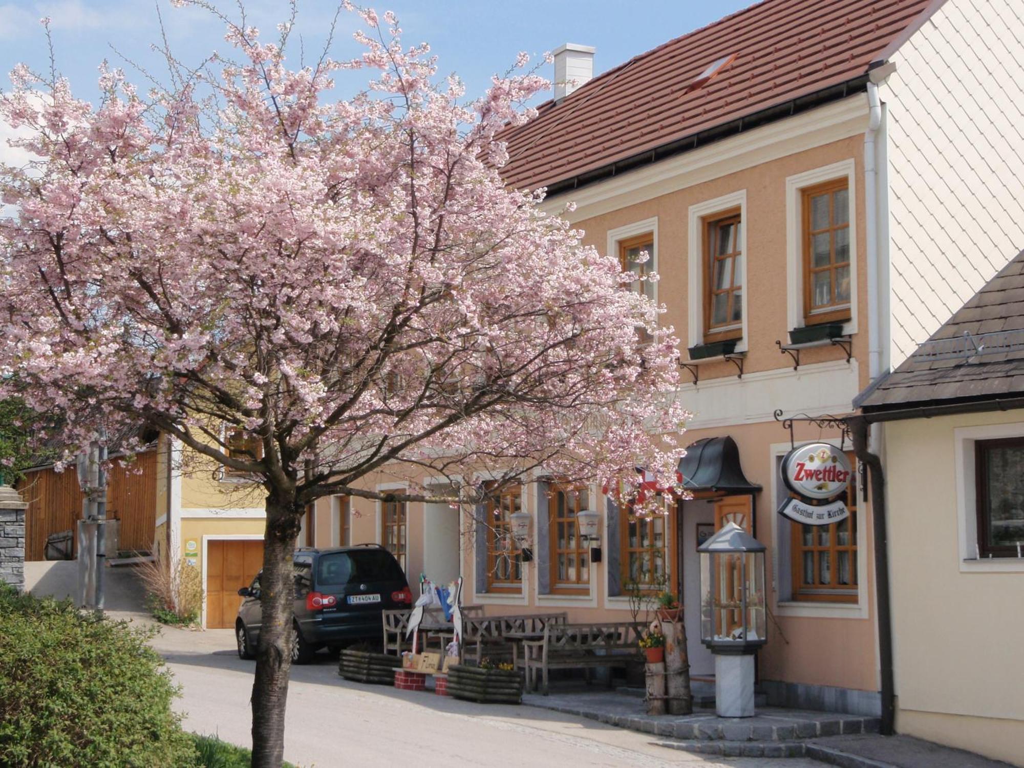 Hotel Gasthof Zur Kirche Kottes Zewnętrze zdjęcie